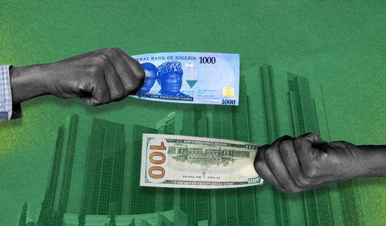 Foreign Exchange Earnings